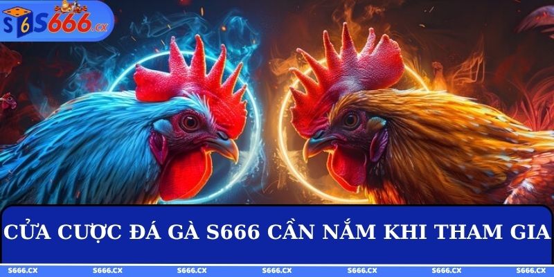 Cửa cược đá gà S666 cần nắm khi tham gia