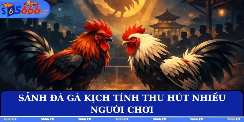 Sảnh đá gà kịch tính thu hút nhiều người chơi