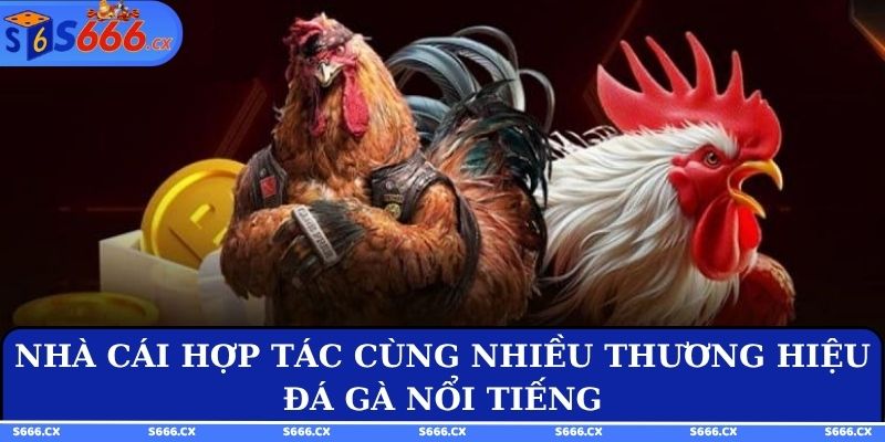 Nhà cái hợp tác cùng nhiều thương hiệu đá gà nổi tiếng