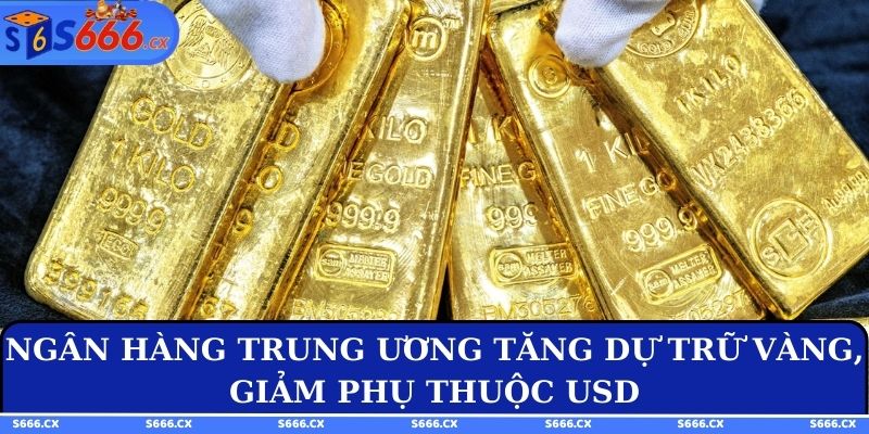 Ngân hàng trung ương tăng dự trữ vàng, giảm phụ thuộc USD